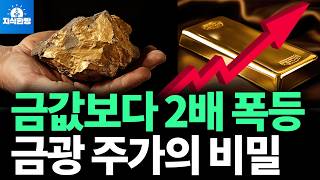 엔비디아보다 4배 폭등, 금광 주가의 비밀 (박종훈의 지식한방)
