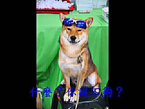 乖小孩要學會隨手關門喔(原發表者:歐歐&YOYO麻)(影片)