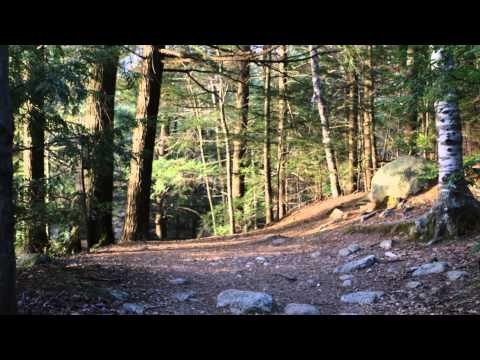 Dunns Pond, Gardner, MA