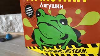 Набор для проведения раскопок Лягушки