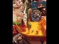 Veggie Tales Pirates Loads Of Fun Boat
