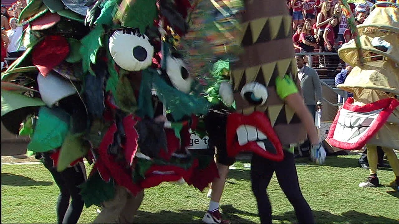Stanford's Tree brings unique flavor to sidelines on The Farm