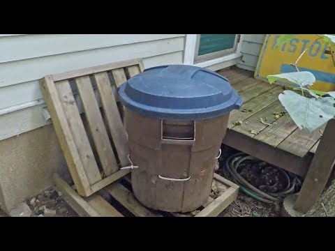 My ourdoor worm bin has been infiltrated by black soldier flies - vermicomposting