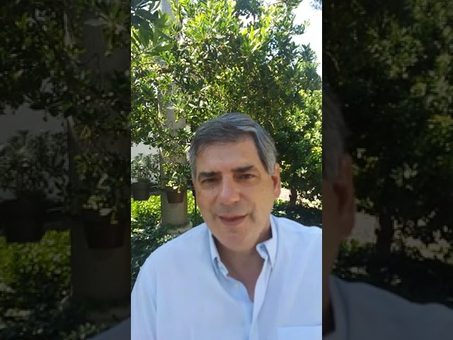 Vídeo relacionado con Forrest Gump: 9033