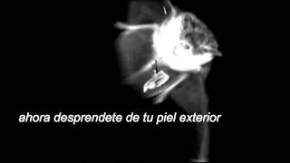 The shroud   Vision subtitulado