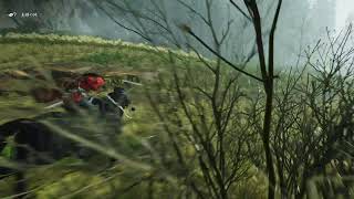 [GoT] Tsushimaを初見プレイ #2
