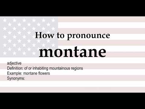 montane