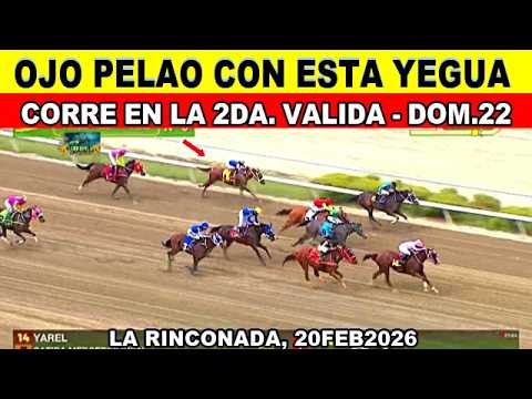 KEEP AN EYE ON THIS MARE, IN THE 2ND ROUND R09 🟢 #larinconada #22feb #2026 🍀 #21feb