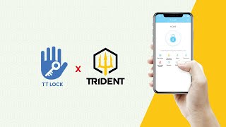 Trident Arthur Pro App Setup Guide