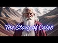 The Story of CALEB ❤️❤️❤️