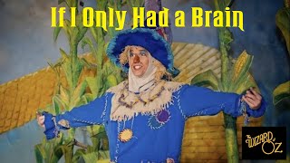 Wizard of Oz | If I Only Had a Brain (Scarecrow) | Kyle Martin