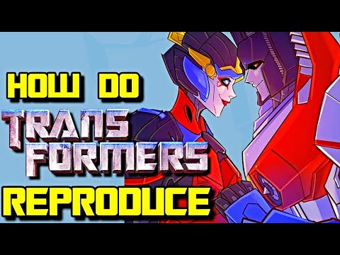 How Transformers Reproduce? Why Do Female Transformers Exist? - Everything Explained