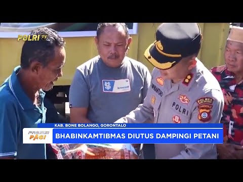 POLRES BONE BOLANGO SALURKAN BANTUAN BENIH JAGUNG UNTUK PETANI