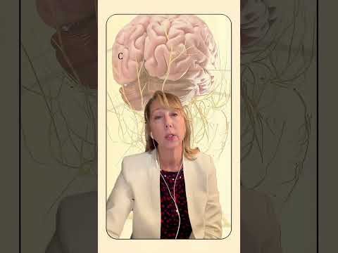 Brain Death Reconsidered