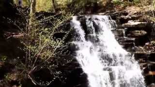 preview picture of video 'Erie Falls (47'), Falls Trail, Ricketts Glen State Park, Pennsylvania'