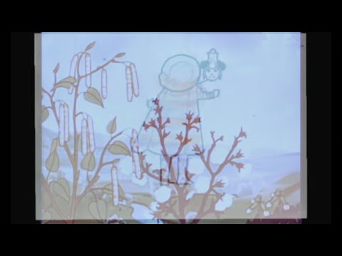 Video thumbnail for Pelikan