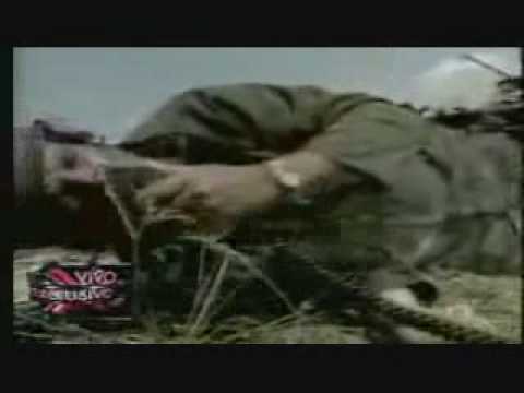 El Amolao Esto Se Jodio Aqui