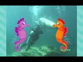 Underwater Adventures Fave Singalongs One