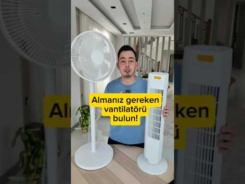 Which fan should you buy? #partnership