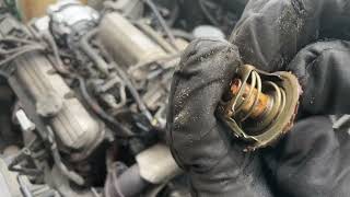 GM 3800 Series 1 (1988-91) Thermostat Replacement.