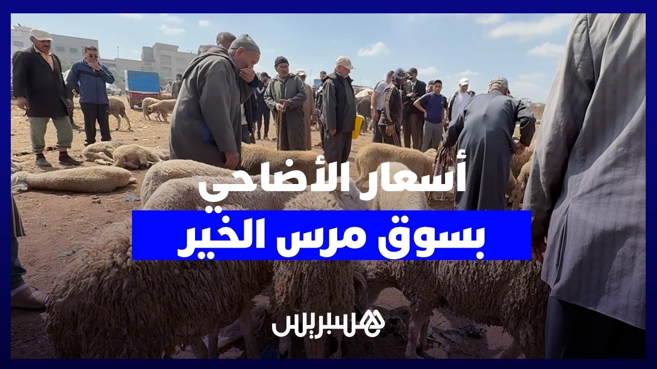 من قلب سوق مرس الخير بتمارة.. مغاربة يطاردون خروف العيد بأسعار تناسب القدرة الشرائية thumbnail