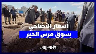من قلب سوق مرس الخير بتمارة.. مغاربة يطاردون خروف العيد بأسعار تناسب القدرة الشرائية thumbnail