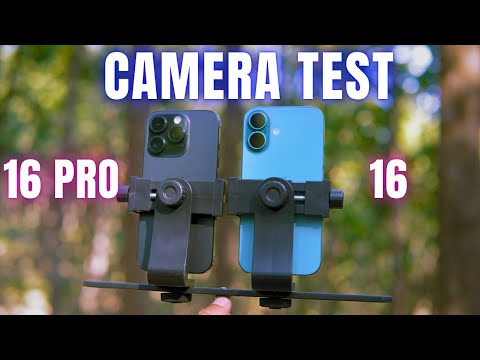 iPhone 16 vs iPhone 16 Pro Camera Comparison: Zoom, Portrait, Video, Night Mode & More Tests!