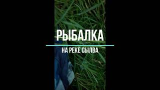 Сылва рыбалка свердловская область