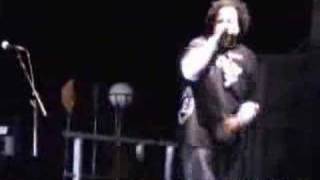 Dilated People Live on Stage