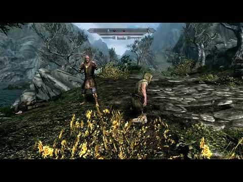 Skyrim - Honningbrew or Black-Briar Mead?