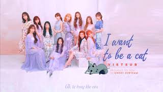[VIETSUB] IZ*ONE (아이즈원) - I WANT TO BE A CAT/ NEKONI NARITAI (Korean Version)