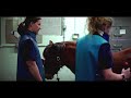 Equine X Ray