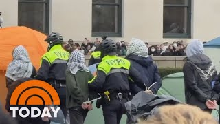 Pro-Palestinian protesters arrested at Columbia University