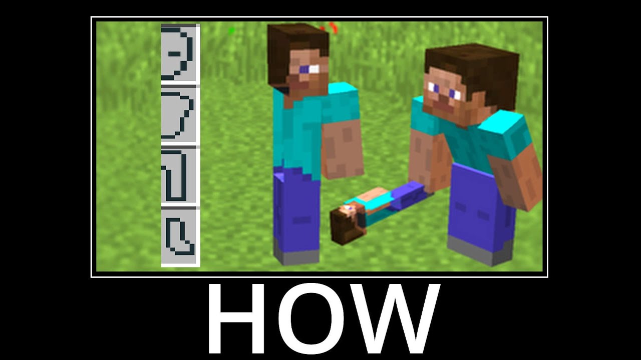 WAIT WHAT (Minecraft) #63