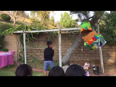 Brandon killed the piñata!
