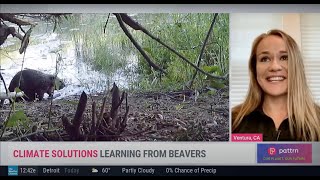 Dr. Fairfax Interview with The Weather Channel