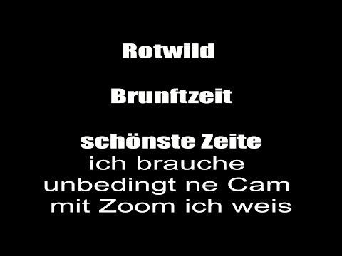 Systemoutbreak #hirschbrunft #rotwild  #brunftzeit #bushcraft  #outdoor  #survival #hessen Lahn Dill