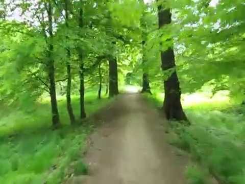 Trasa na wałach nad Widawą, Psie Pole, Wrocław