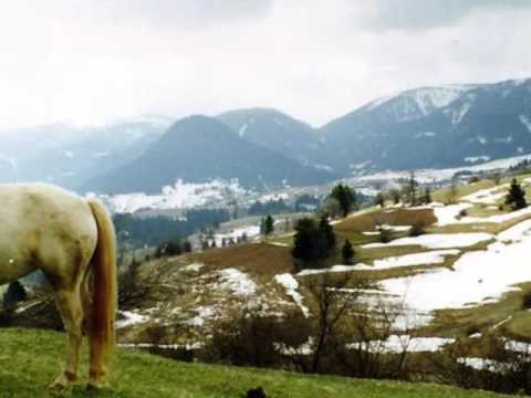 The voices of Rhodopes - Mladen Koynarov - Devoiko, zaradi tebe ostanah