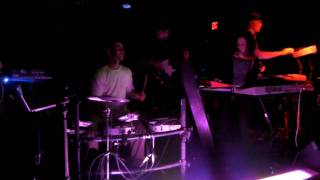 02 American Beauty - Psylab Live at Red Square in Albany, NY 1-23-10