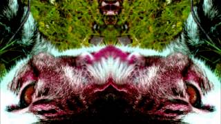 Tomahawk mescal rite 1