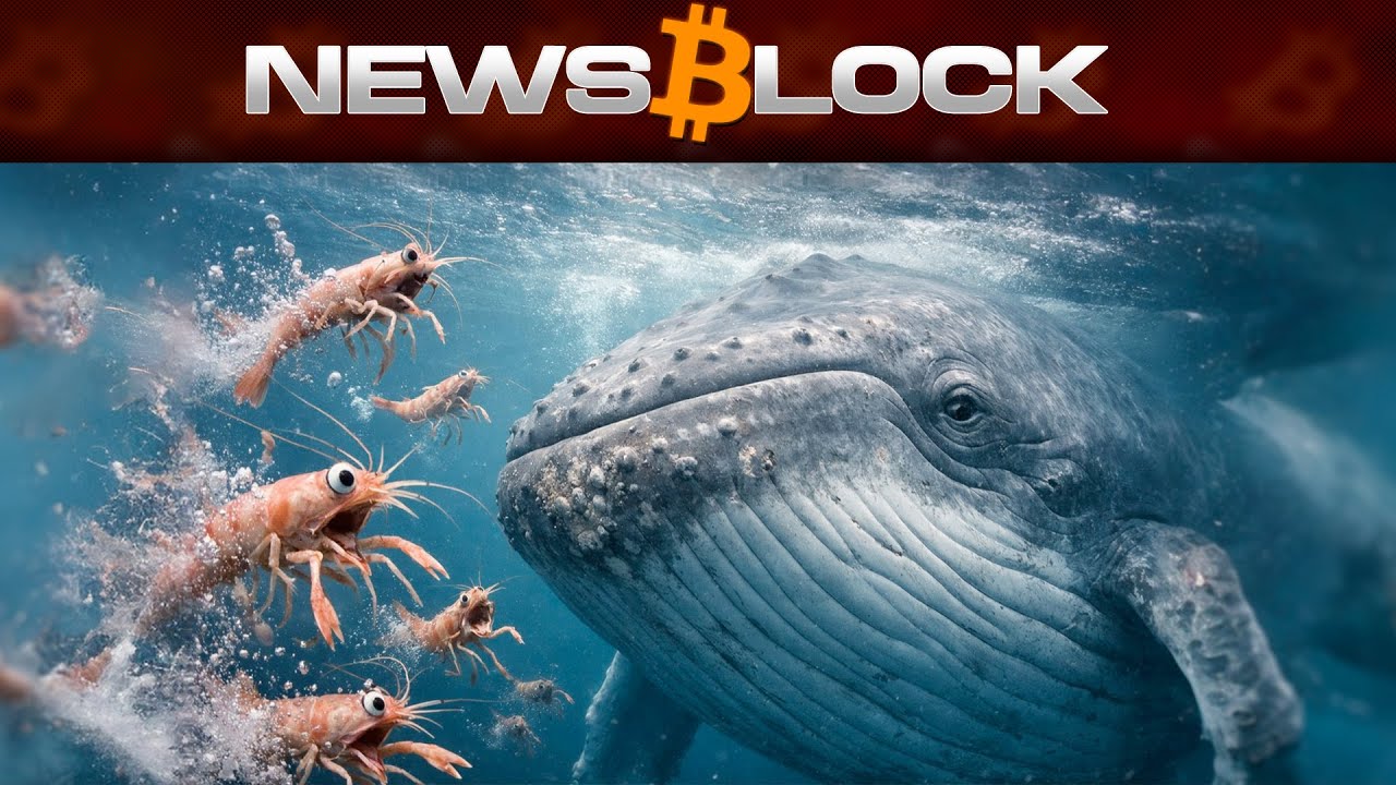 Крипто-Киты Снова в Деле