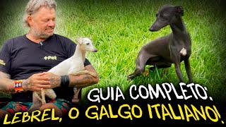Miniatura do vídeo
