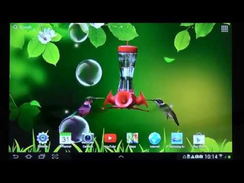 Hummingbirds wallpaper Video