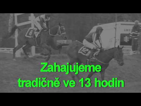Pozvánka: 27. 5 . 2017 - I. kvalifikace na 127. Velkou pardubickou s Českou pojišťovnou