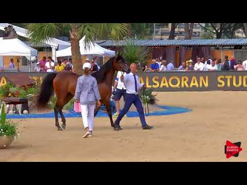 N.47 ERALDA - Menton 2018 - 2 Years Old Fillies (Class 2B)