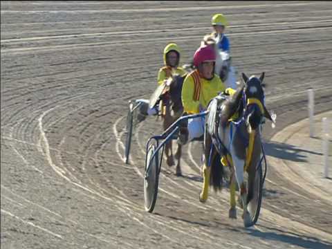 Trotto 30/04/2017 - 2ª corsa pony