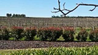 Doug en Ellen maakten een dagtocht door de Barossa Valley ten noordoosten van Adelaide in het zuiden