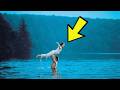 Dirty Dancing 1987 20 Weird Facts You Didn T Know