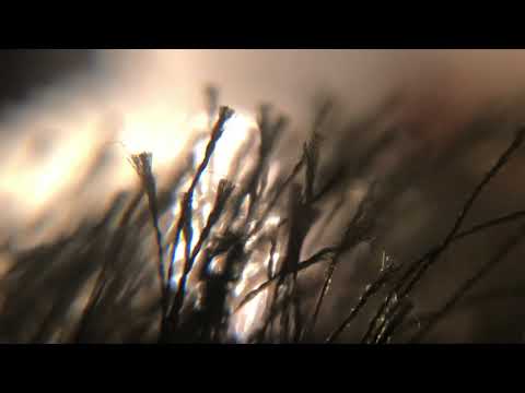 MELLOW JAM EP6 - MPC LIVE 2 - SP404SX - AMBIENT HOUSE